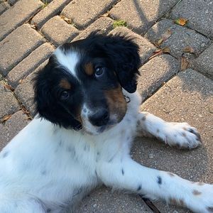 Meet your Posher, Nadya